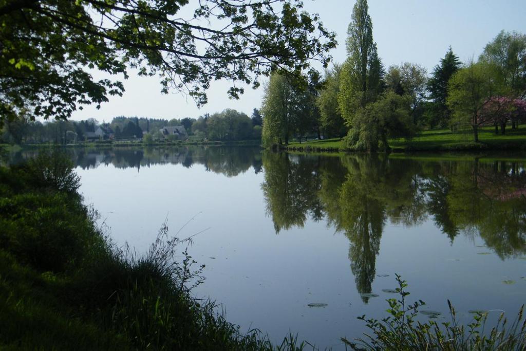 Excallibur, Aux Portes De Brocéliande *
