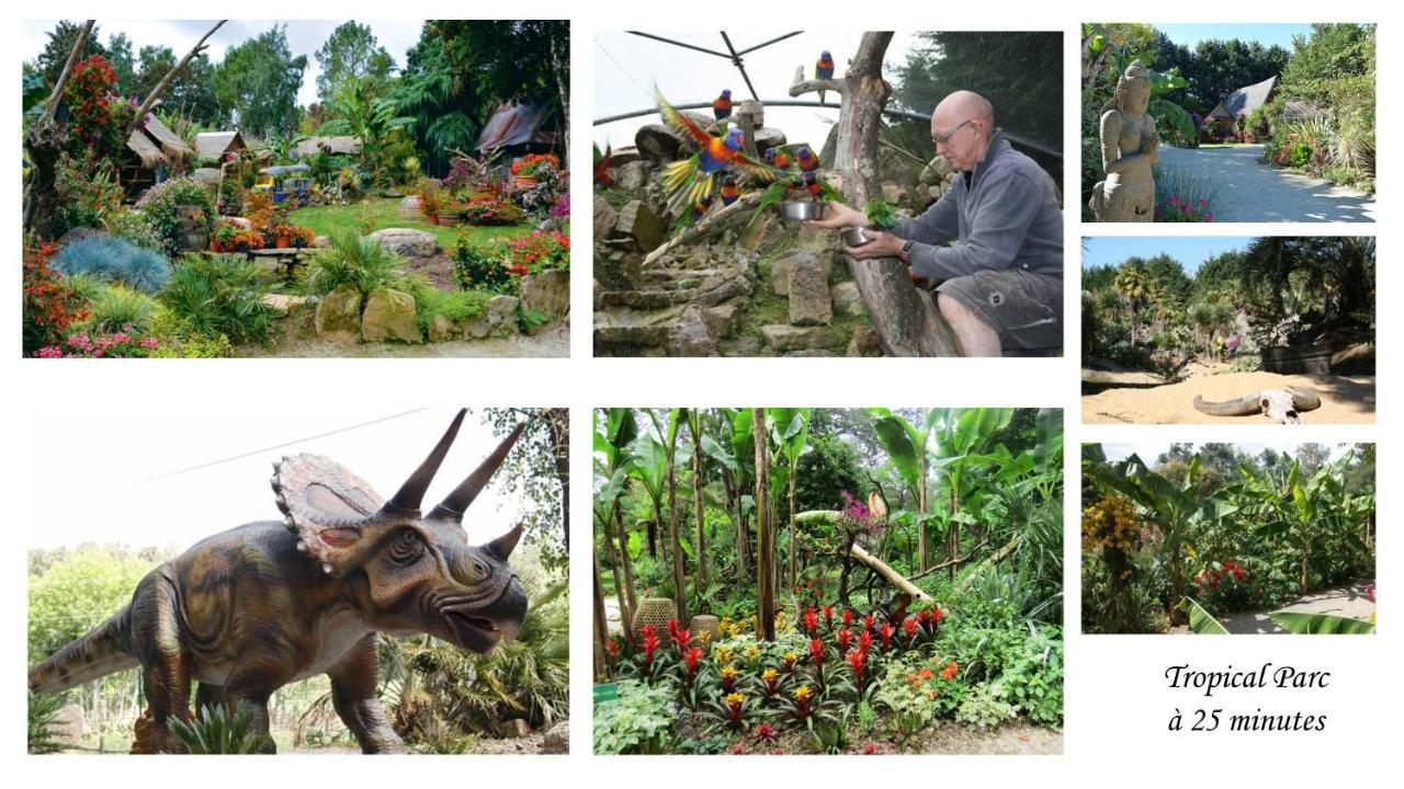 Excallibur, Aux Portes De Broceliande Carentoir